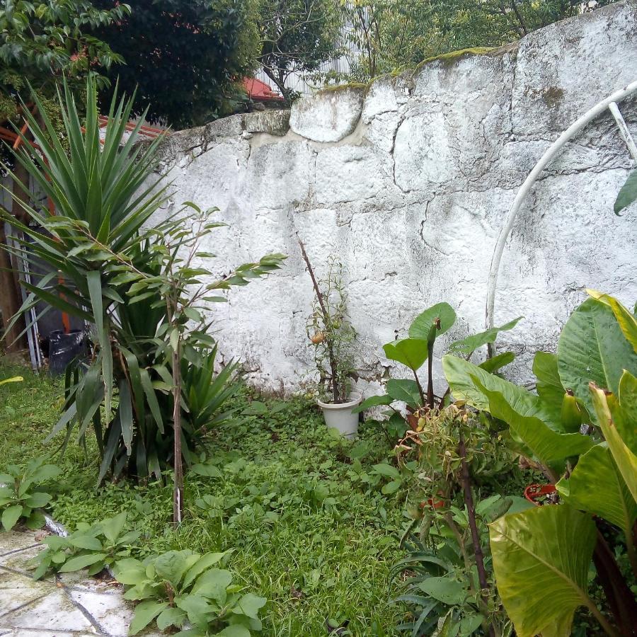 Alegria Apartment بورتو المظهر الخارجي الصورة